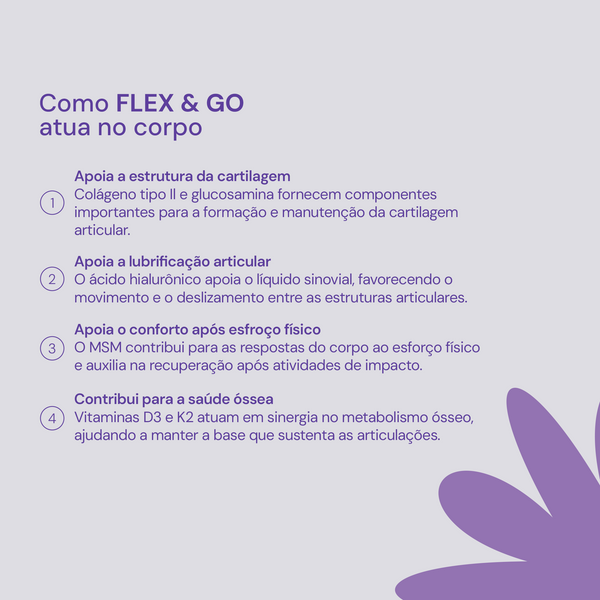 FLEX & GO
