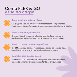 FLEX & GO