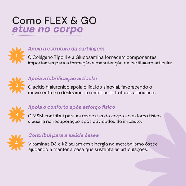 FLEX & GO