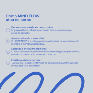 MIND FLOW